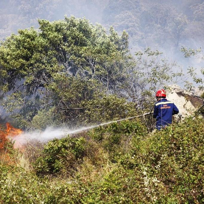 Deadly wildfires in Greece and other European countries destroy homes and threaten nature reserves